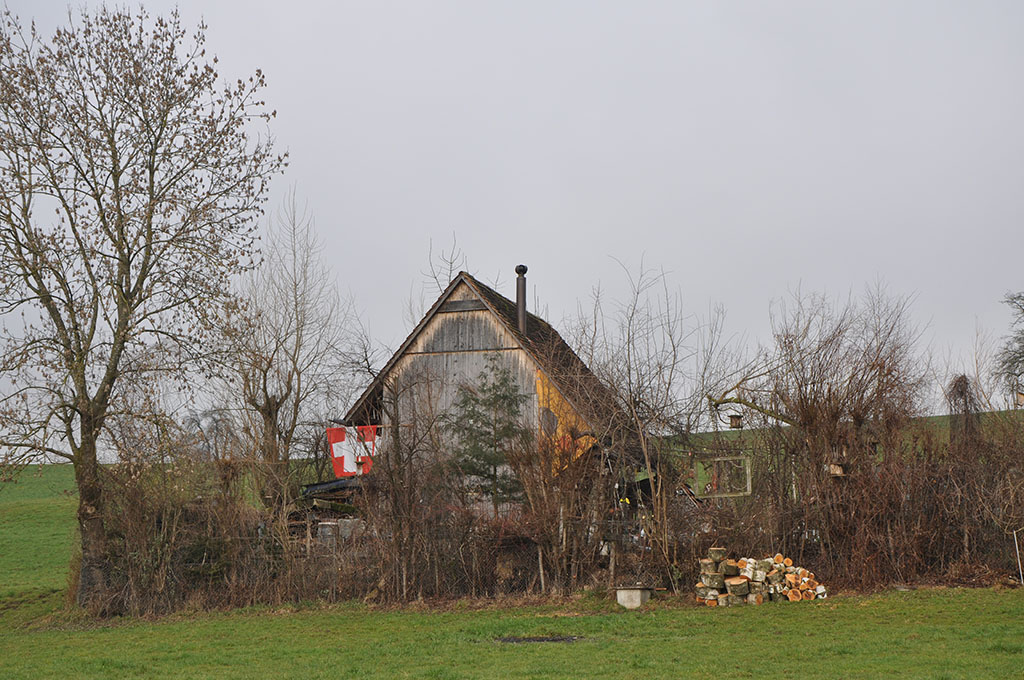 Weidsch&uuml;rli im Herbst